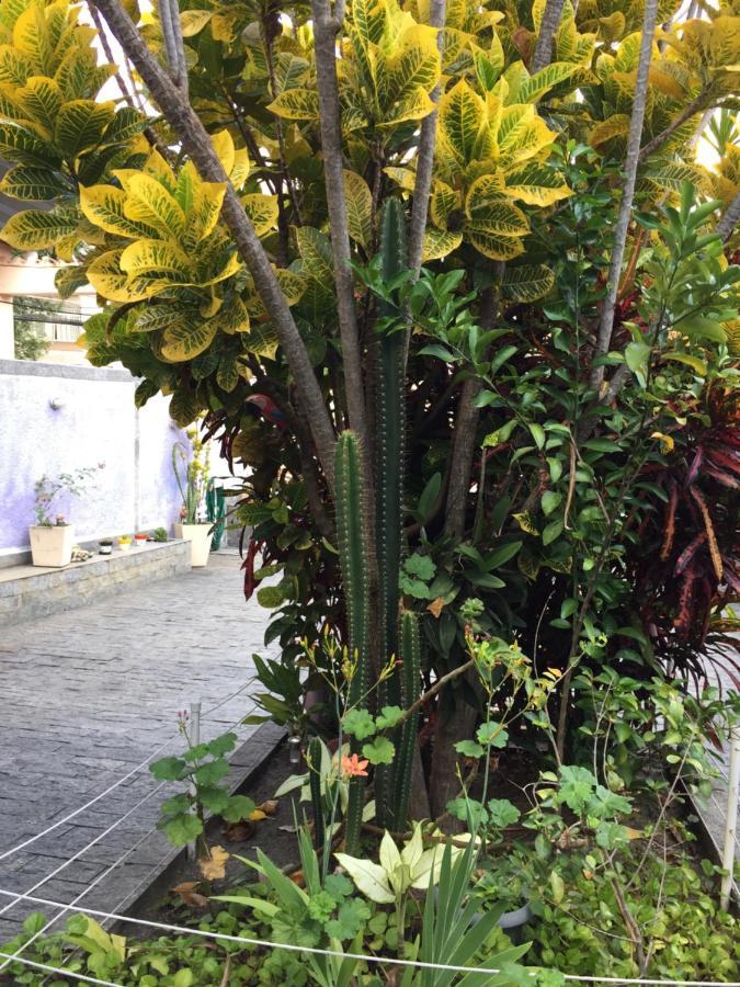 Casa Aconchegante Em Vila Valqueire Rio de Janeiro Exterior foto